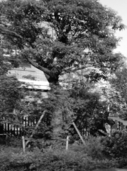 镇江注册公司